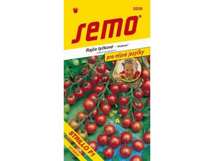 SEMO Rajčiak kolíkový STRILLO F1 3239 12s