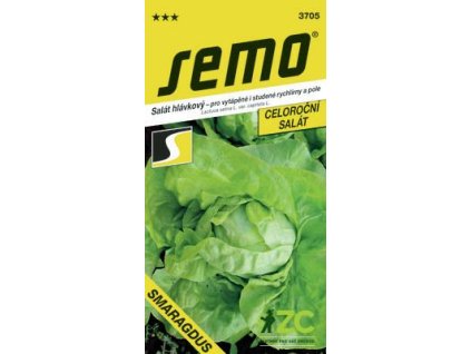 SEMO Šalát hlávkový celoročný SMARAGDUS 3705 0,5g