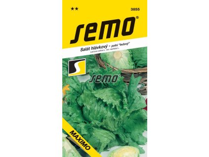 SEMO Šalát hlávkový ľadový MAXIMO 3855 0,5g