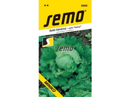 SEMO Šalát hlávkový ľadový MINIKO 3856 0,6g
