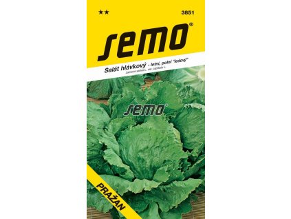 SEMO Šalát hlávkový ľadový PRAŽAN 3851 0,6g