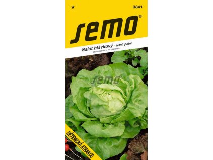 SEMO Šalát hlávkový letný Dětenická atrakce 3841 0,6g