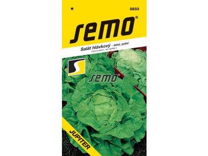 SEMO Šalát hlávkový letný JUPITER 3833 0,4g