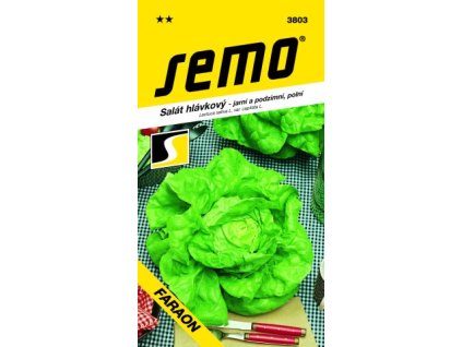 SEMO Šalát hlávkový skorý FARAON 3803 0,6g