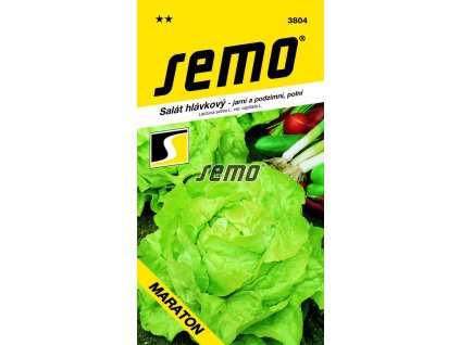SEMO Šalát hlávkový skorý Maraton 3804 0,6g