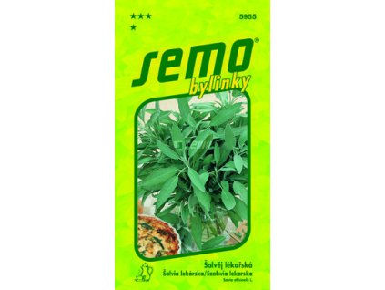 SEMO Šalvia lekárska 5955 0,8g