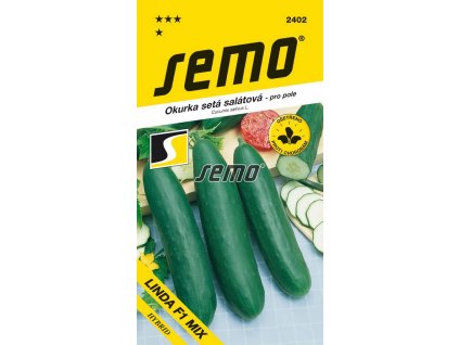 SEMO Uhorka šalátová neskorá Linda F1 2402 1,3g