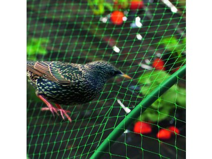 Sieť proti vtákom M200 2x50m