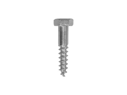 Skrutka do dreva 10x60 27ks 1kg 3892