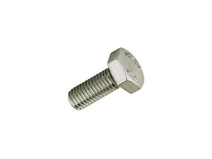 Skrutka M10x100 6HRZ d933