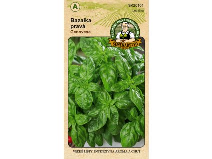 TRADIČNÉ OSIVÁ Bazalka pravá GENOVESE 1g