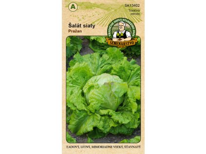 TRADIČNÉ OSIVÁ Šalát ľadový letný PRAŽAN 0,5g