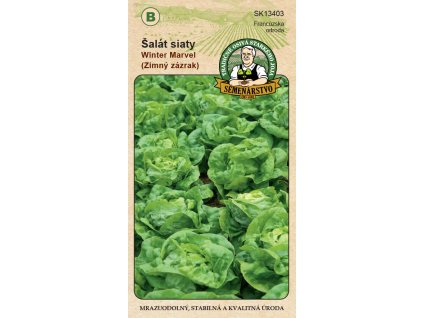 TRADIČNÉ OSIVÁ Šalát siaty Zimný zázrak 1g