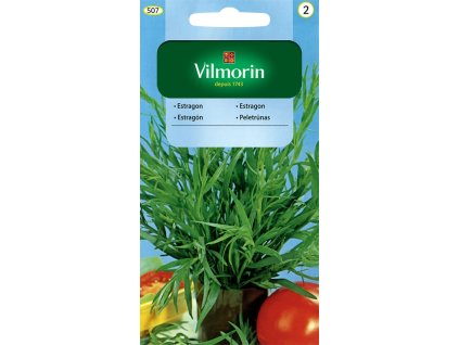 VILMORIN Estragón 507 0,1g