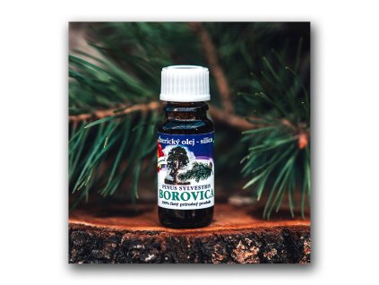 Éterický olej Borovica (silica) 10 ml
