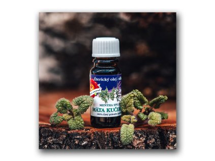Éterický olej Mäta kučeravá (silica) 10 ml