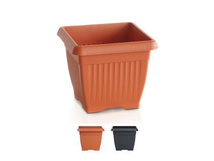 DKWT19 TERRA kvetináč hranatý 19cm