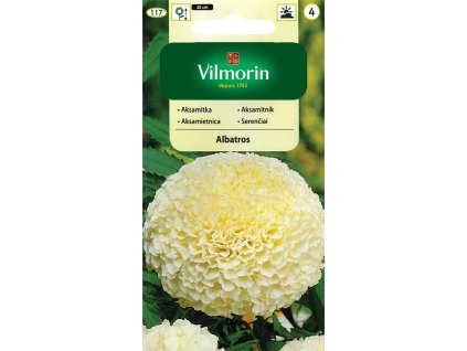 VILMORIN Aksamietnica Albatros 117/0,2g