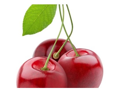 Čerešňa LAPINS samoopelivá neskorá podpník Gisela 6