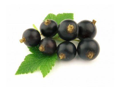 Ríbezľa čierna ker TISEL