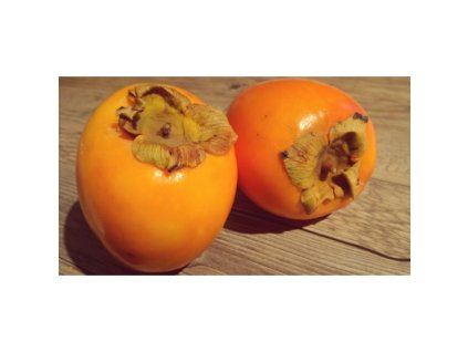 Ebenovník rajčiakový Hurmikaki GENEVA RED kontajner 2l