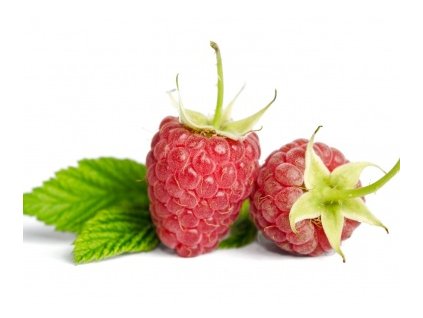 Malina GLEN AMPLE beztŕňová kontajner 11cm