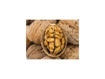 Orech kráľovský JUPITER kontajner 5l