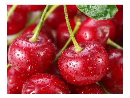 Višňa KELLERIS neskorá podpník colt