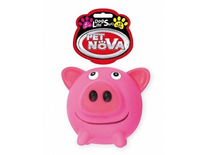 Hračka VIN Pig ball