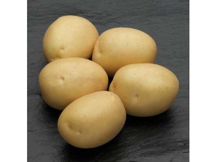 Zemiaky SYLVANA stredne skoré varný typ B 25kg