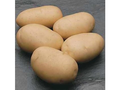 Zemiaky CICERO skoré varný typ AB 25kg