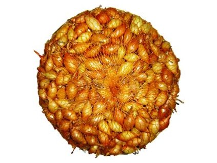 Cibuľa sadzačka VŠETANA 7-14mm 500g