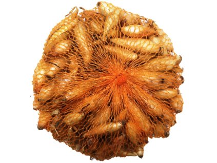 Cibuľa sadzačka BIRNFORMIGE 7-14mm 250g