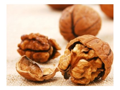 Orech kráľovský FERNOR