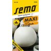 SEMO Cibuľa jarná Maxi Southport White Globe 0536 1g