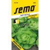 SEMO Šalát hlávkový celoročný MERKURION 3831 0,6g
