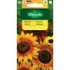 VILMORIN Slnečnica ročná 416/5g