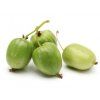 Aktinídia kiwi ISSAI samoopelivá kontajner 11cm