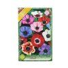 Anemone de Caen mix 10ks