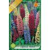 Lupinus mixed 3ks
