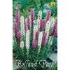 Liatris mix 10ks