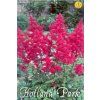 Astilbe red 1ks