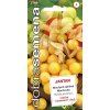 DOBRA SEMENA Machovka JANTAR 2146 0,2g
