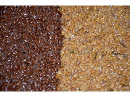 Lněné semínko hnědé - Len hnědý