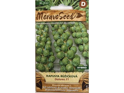 Kapusta růžičková