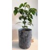 ROOT POUCH textilní květináč grey- ŠEDÝ - 3,8 l