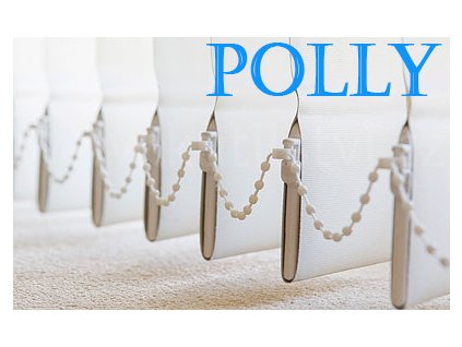 Polly 2