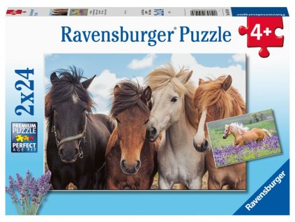 50614 fotky koni puzzle 2 x 24 dilku