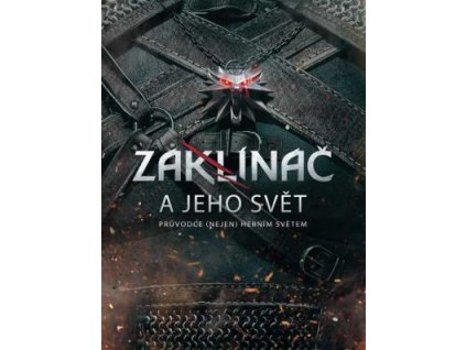 20173 zaklinac a jeho svet kniha