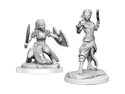 88332 dungeons dragons nolzur s miniatures shifter fighter